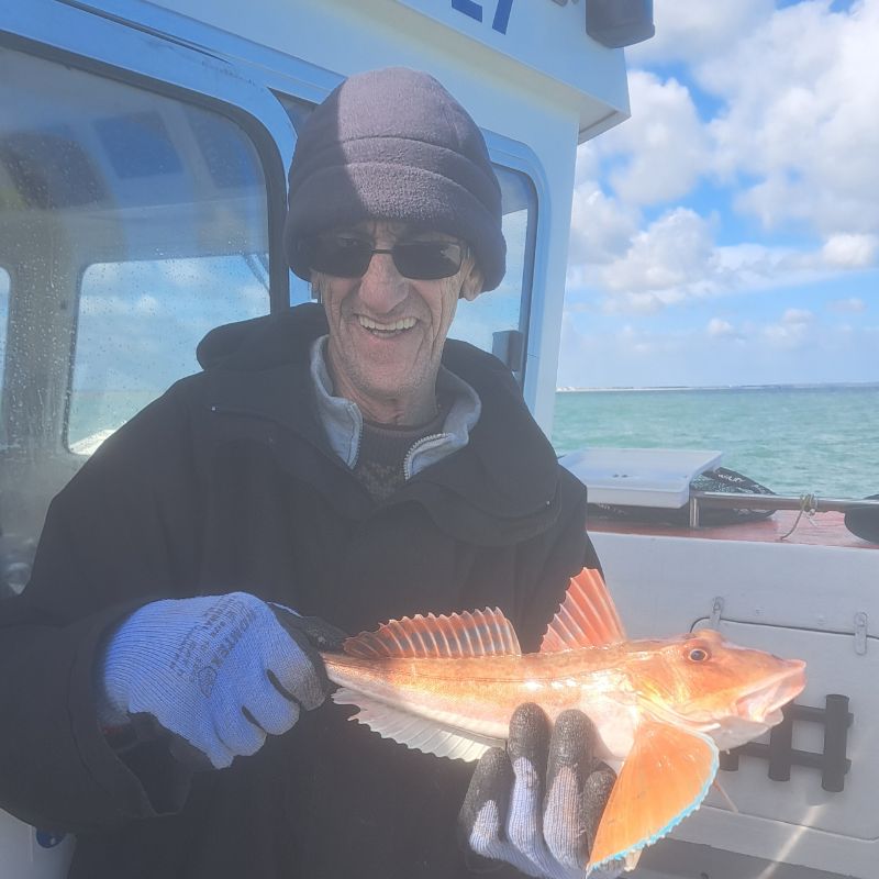 General update and report - Cassie Rose Charters