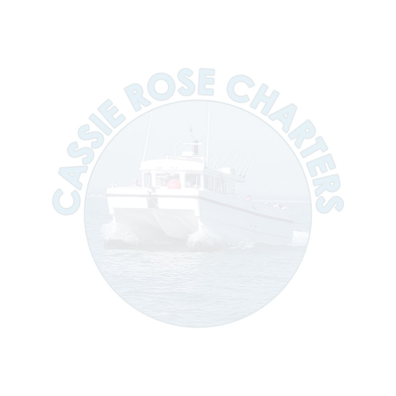 News update - Cassie Rose Charters